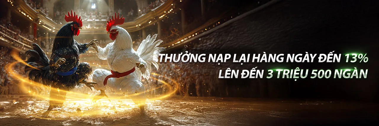 Đấu gà trực tiếp tại rikvip link vào